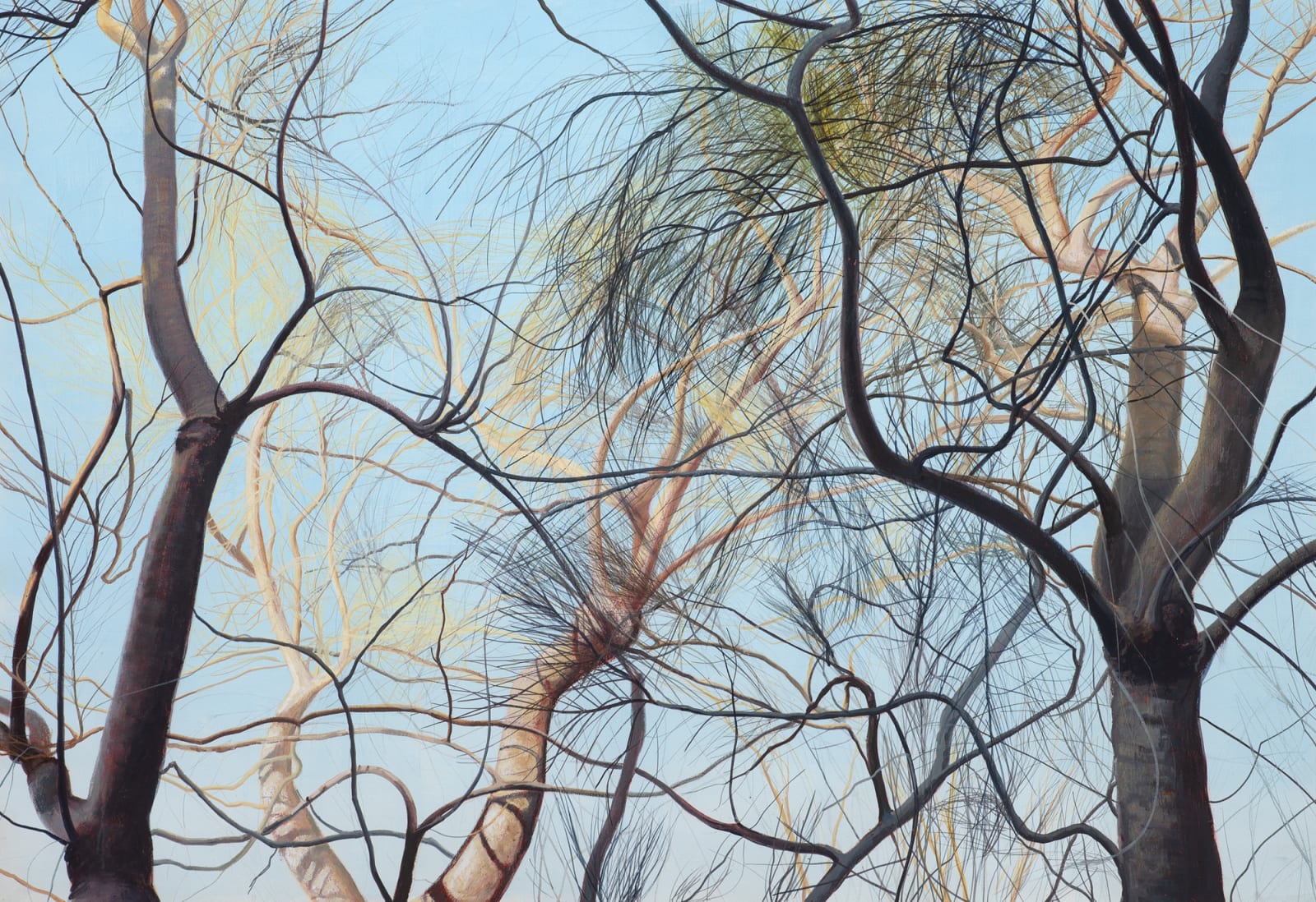 David Keeling, Kelso - 4.35pm, 2010
