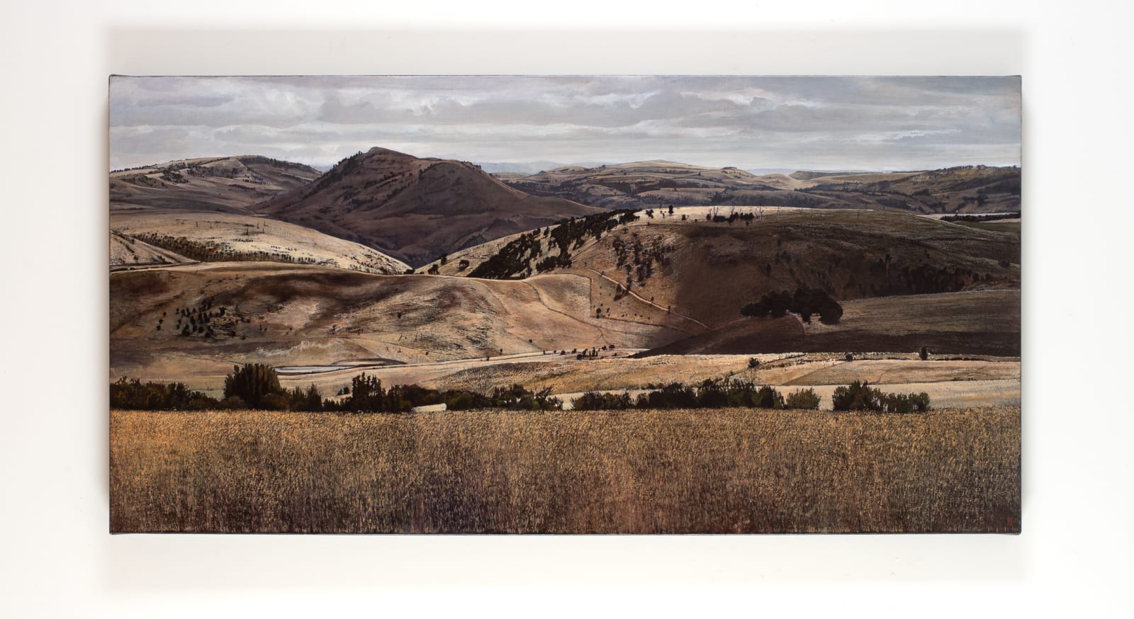 Stephanie Tabram, On Hamilton Plain, 2021