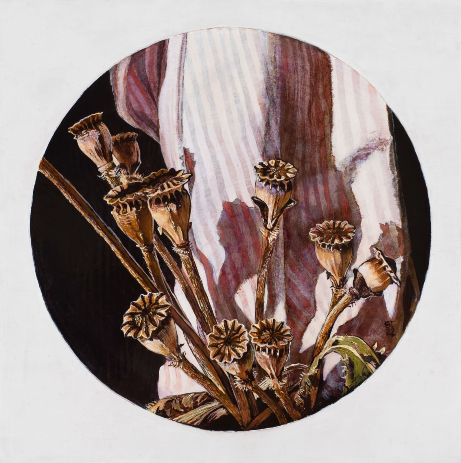 Stephanie Tabram, Poppy Pods, 2023