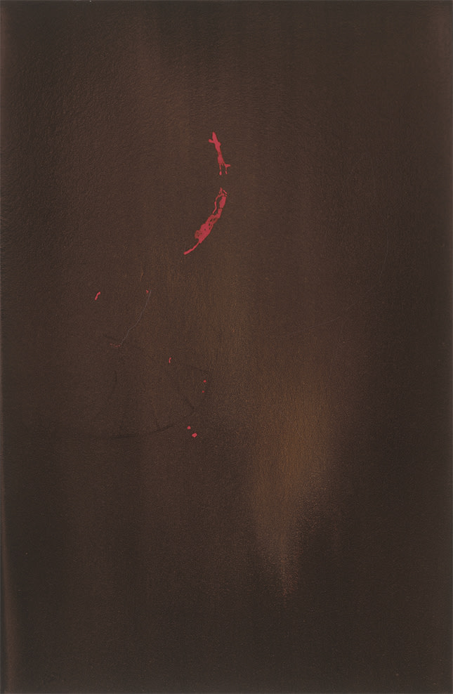Sara Maher, Remnant, 2013