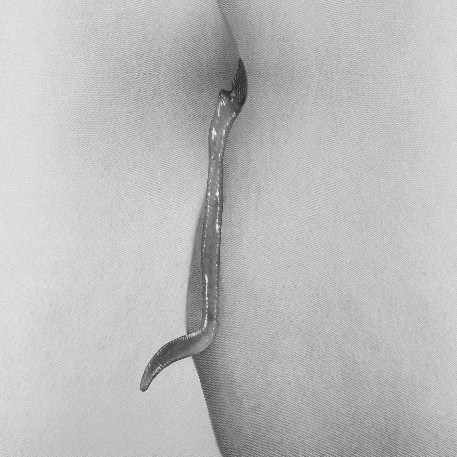 Pat Brassington, Hook and Eye, 2020