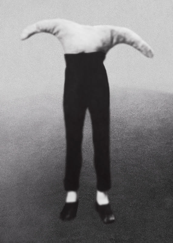 Pat Brassington, A Kind of Snow, 2009