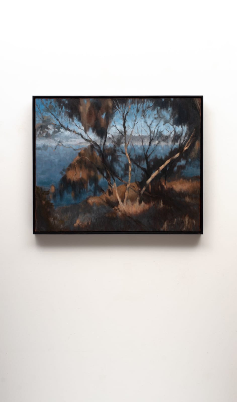 Hannah Webber, Tangled, 2025