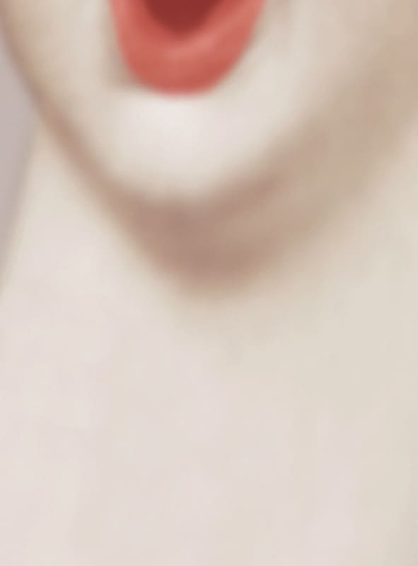 Pat Brassington, Crush, 2005