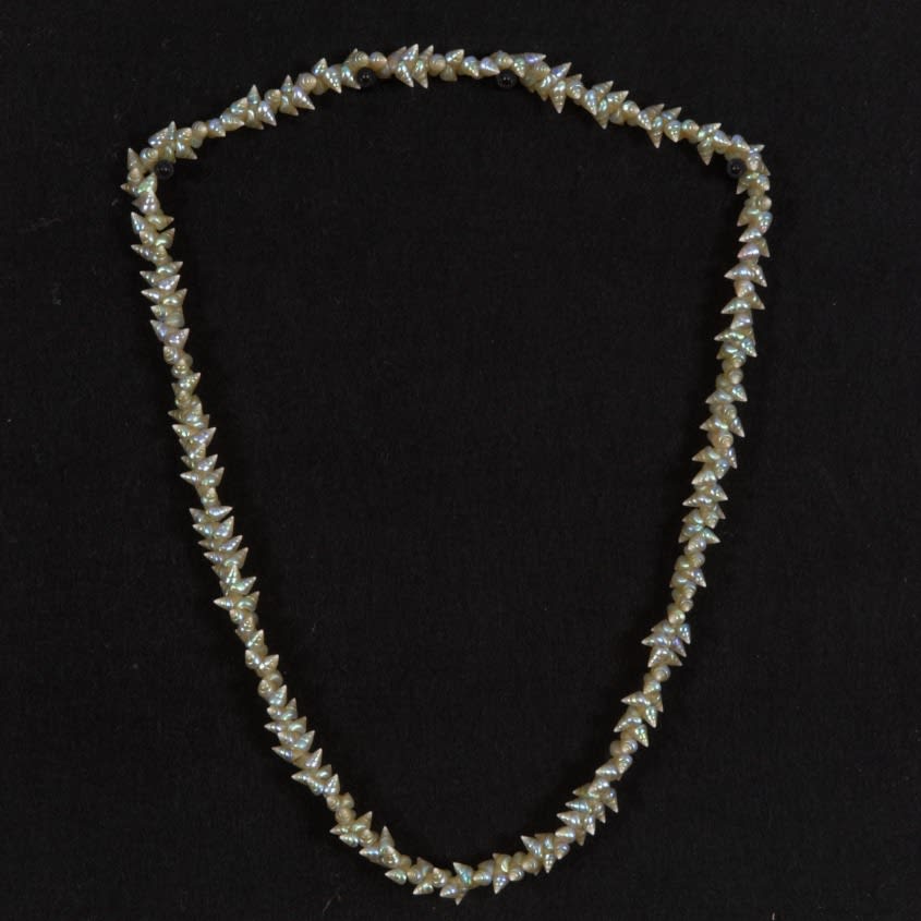 Aunty Jeanette James, Palawa Shell Necklace, 2015