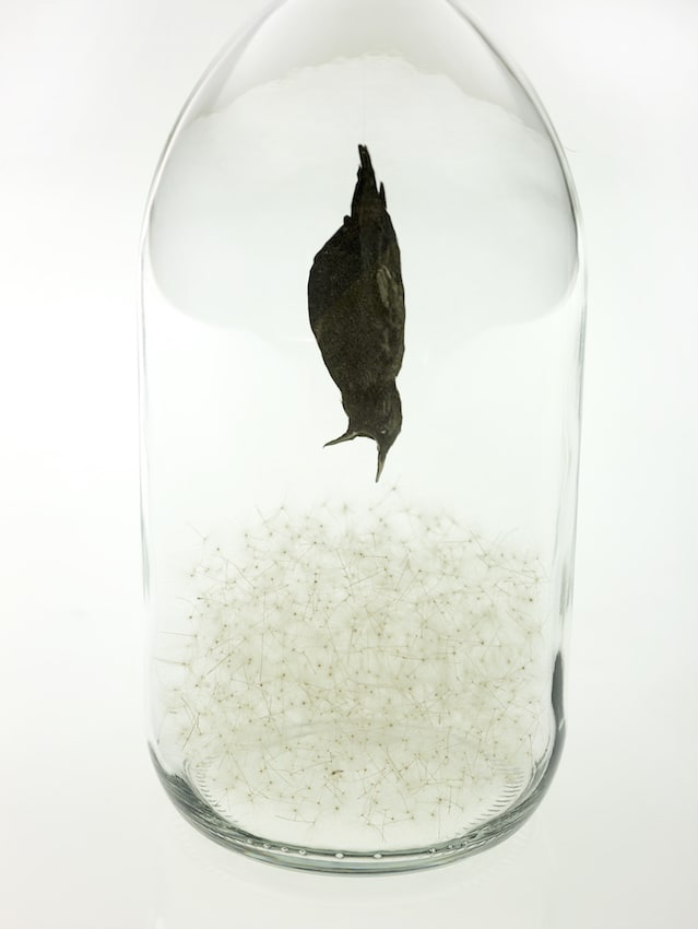 Sara Maher, Unsettled Ancestor, 2020