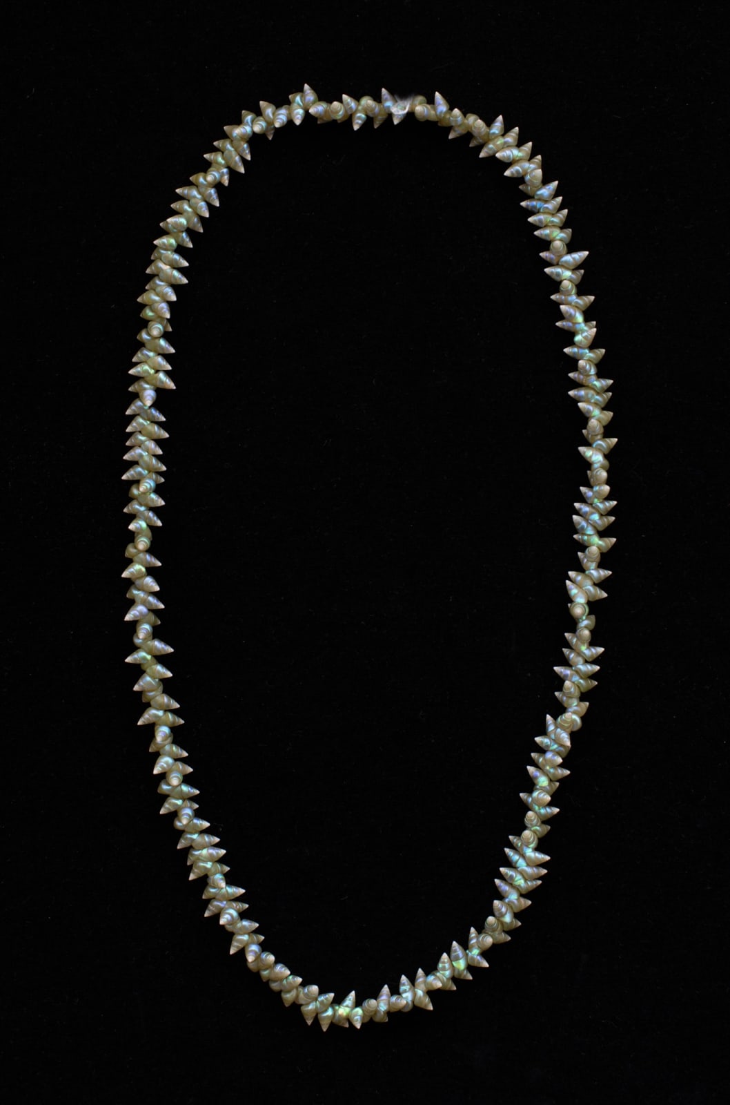 Bec Woolley, palawa necklace, 2023