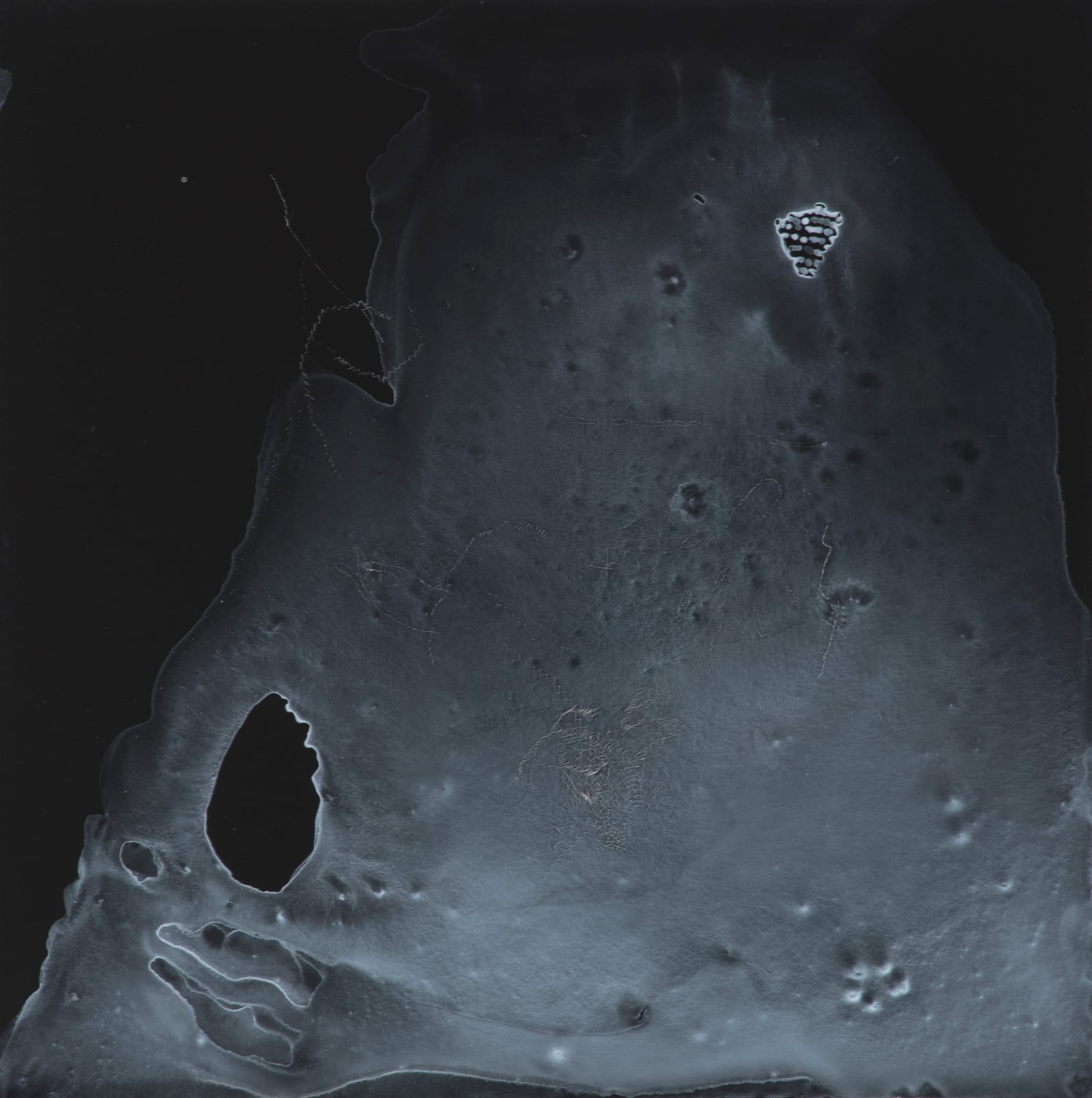 Sara Maher, Moon pool, 2016