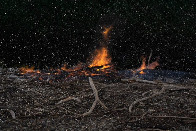 Troy Ruffels, After the flood, 2017