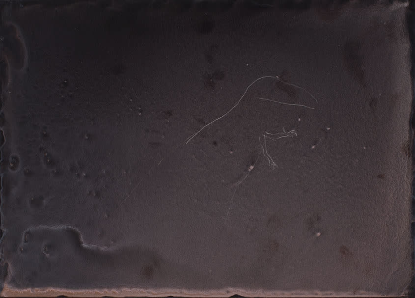 Sara Maher, Origins (skink), 2016