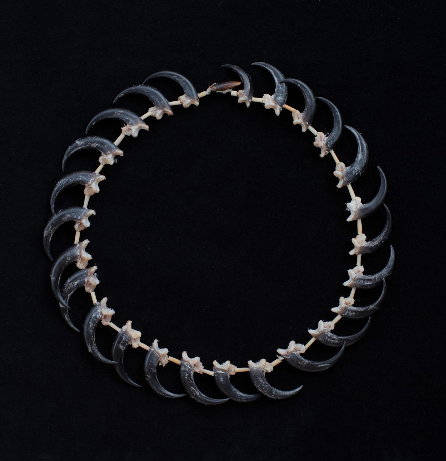 Aunty Jeanette James, palawa necklace - kurina (eaglehawk), 2023