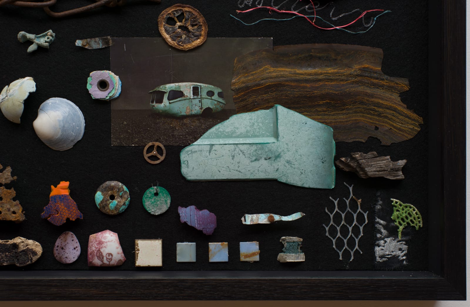 Irene Briant, Field Trip, 2020