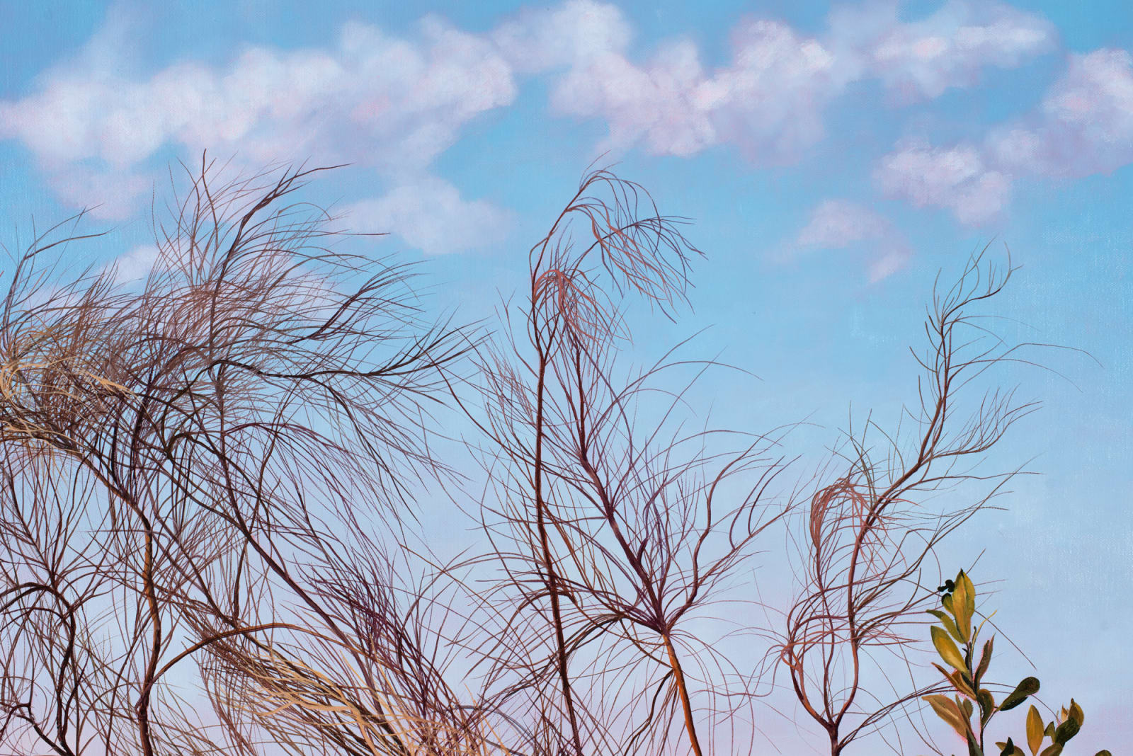 David Keeling, Pink sky in the morning, 2022