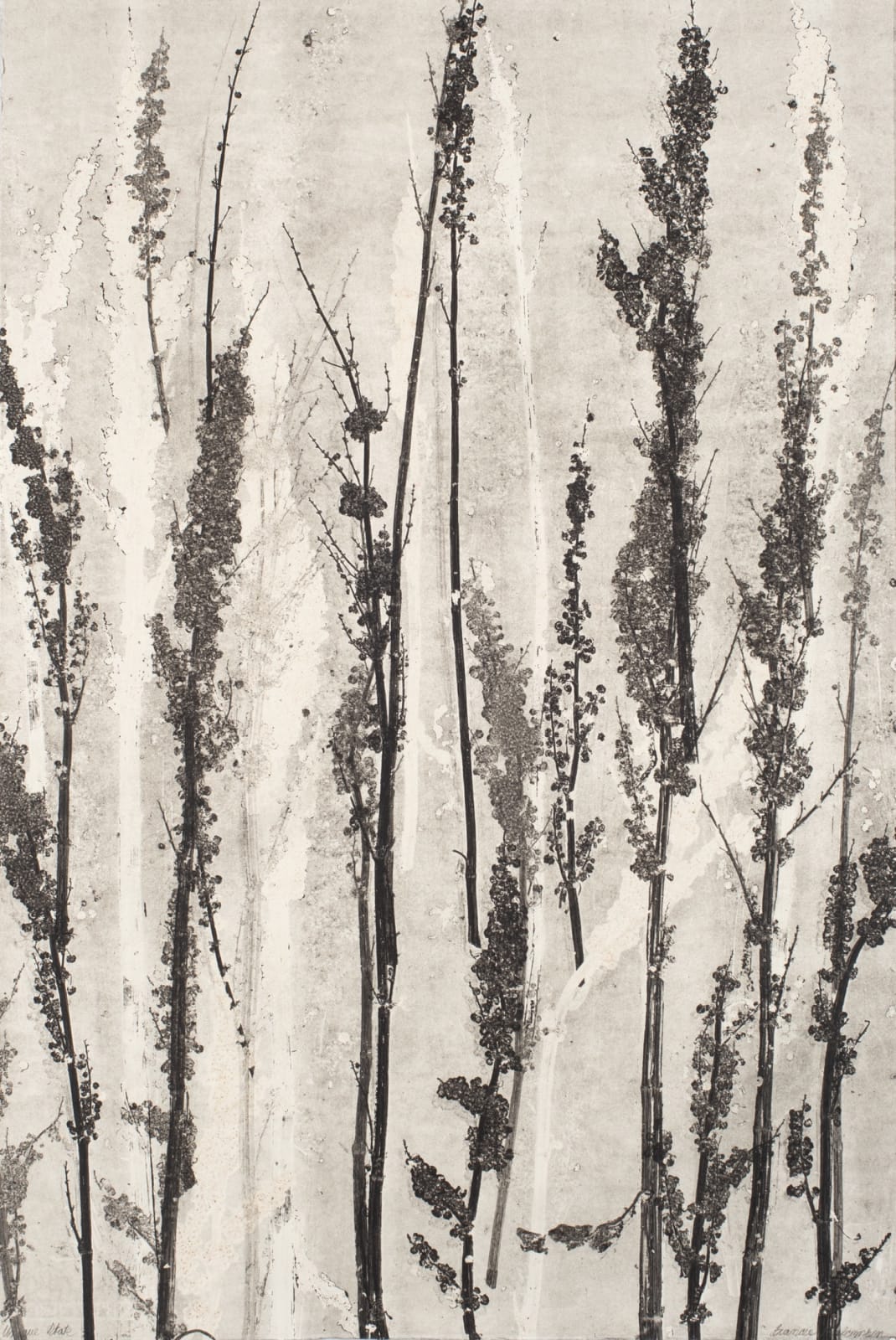 Frances Malcomson, Urban Echoes, 2024