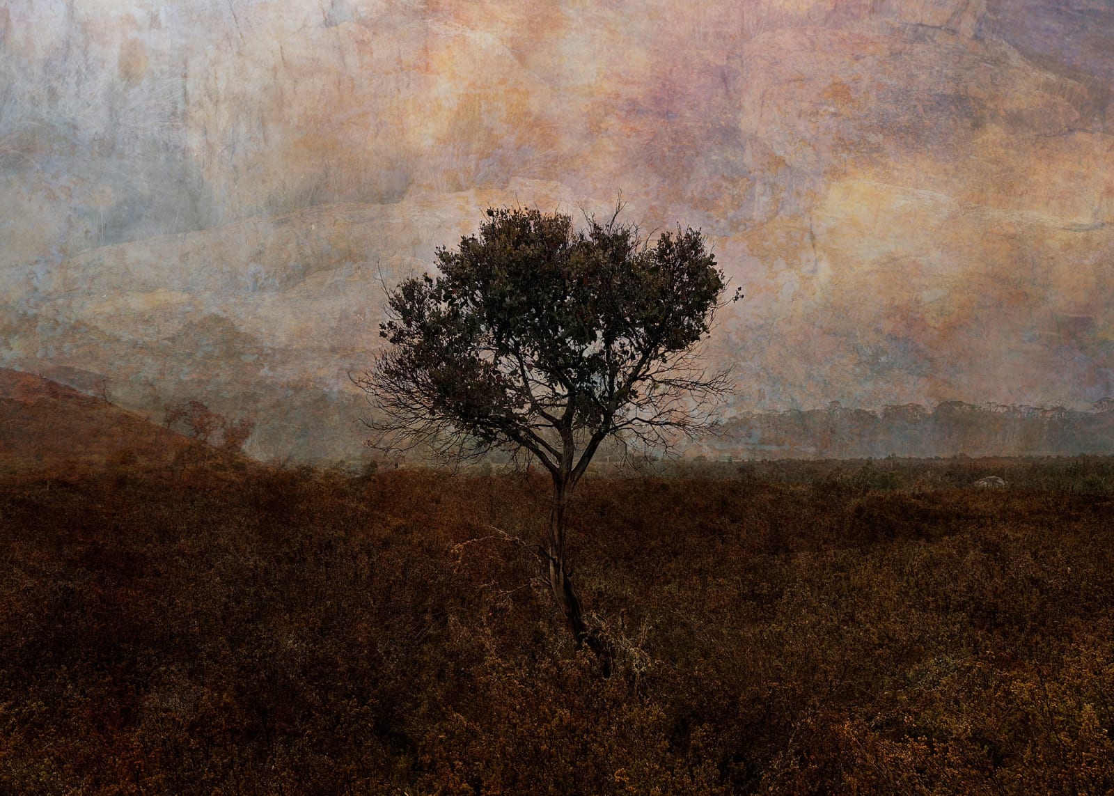 Troy Ruffels, Emergent Song, 2023