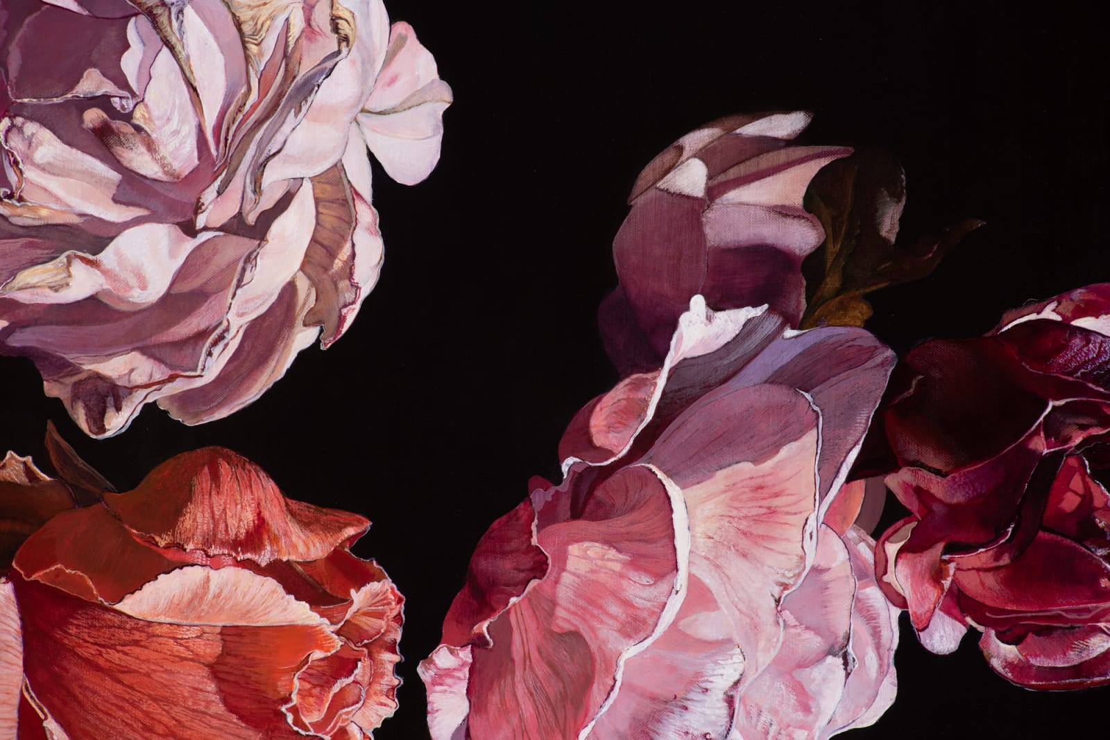 Stephanie Tabram, Late roses, 2020