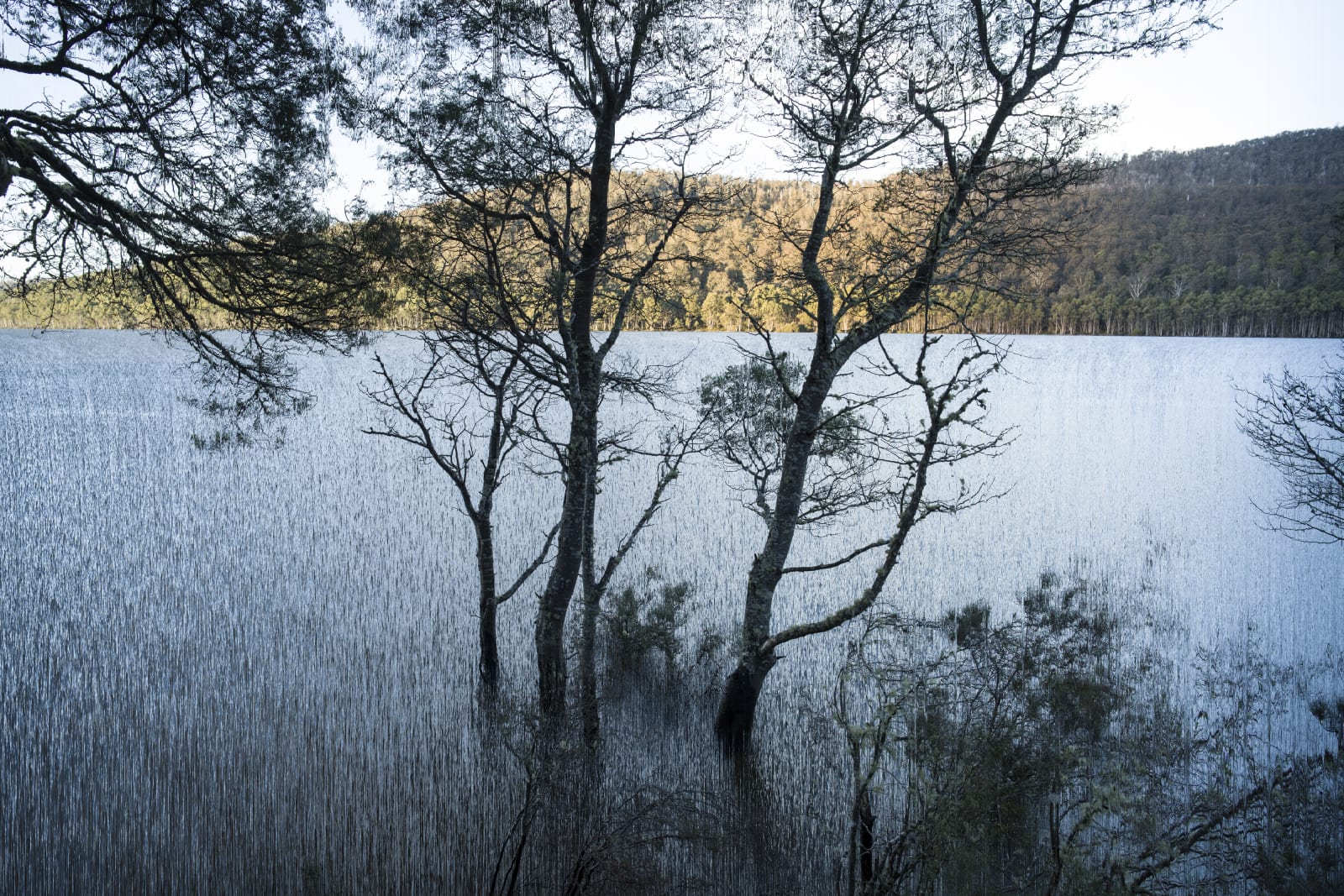David Stephenson, Dusk, Bradys Lake, Tasmania, 2018-07-02, 2018