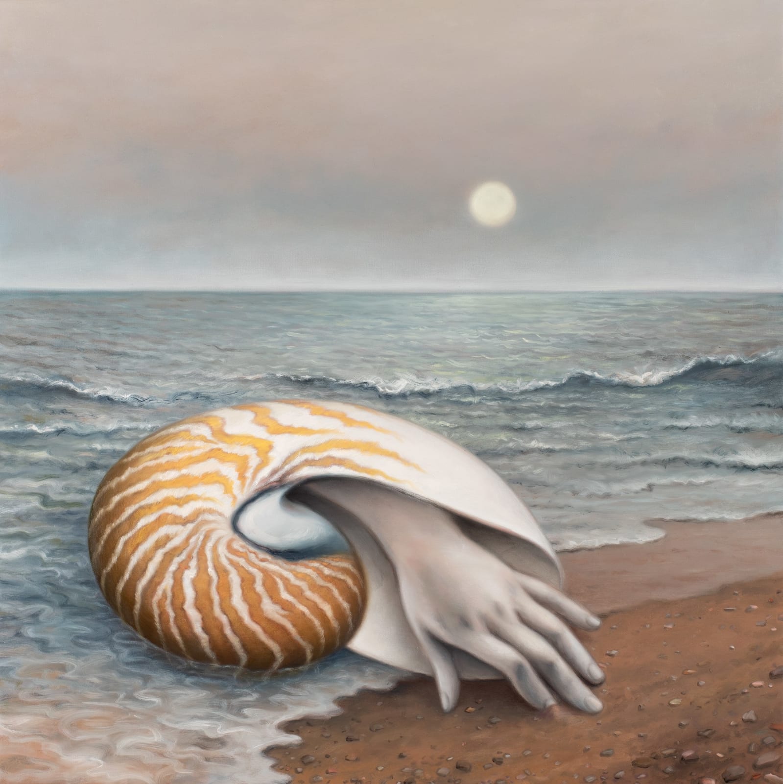 Amber Koroluk-Stephenson, Dawning, after Dora Maar, 2023-2024