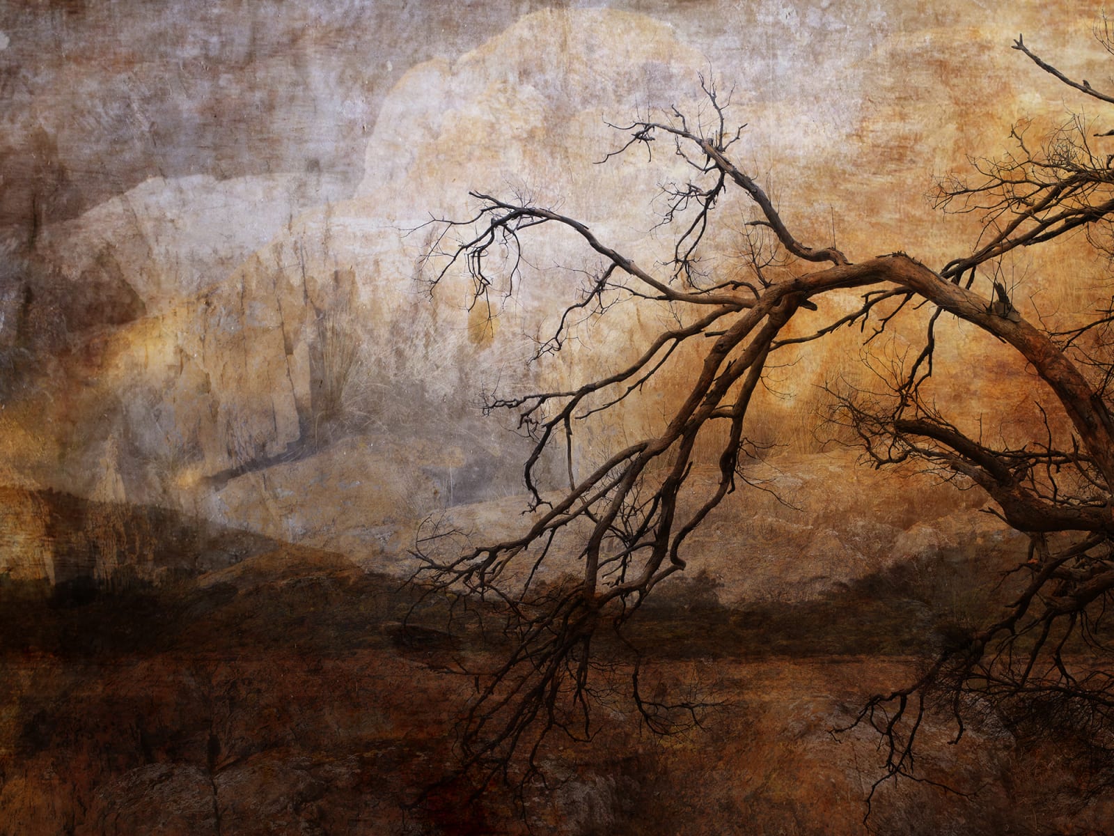 Troy Ruffels, Branches of water, 2020
