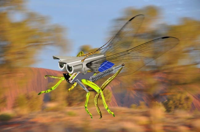 Joan Ross, Not a $tone unturned, 2015