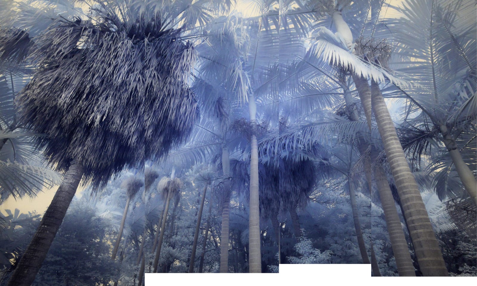 Danie Mellor, The sound of a dream in the forest, 2018