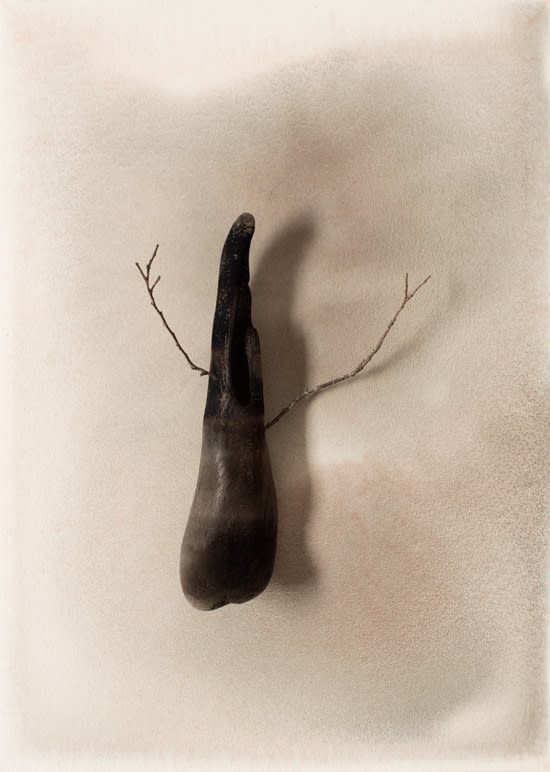 Sara Maher, In the hollows 1, 2016