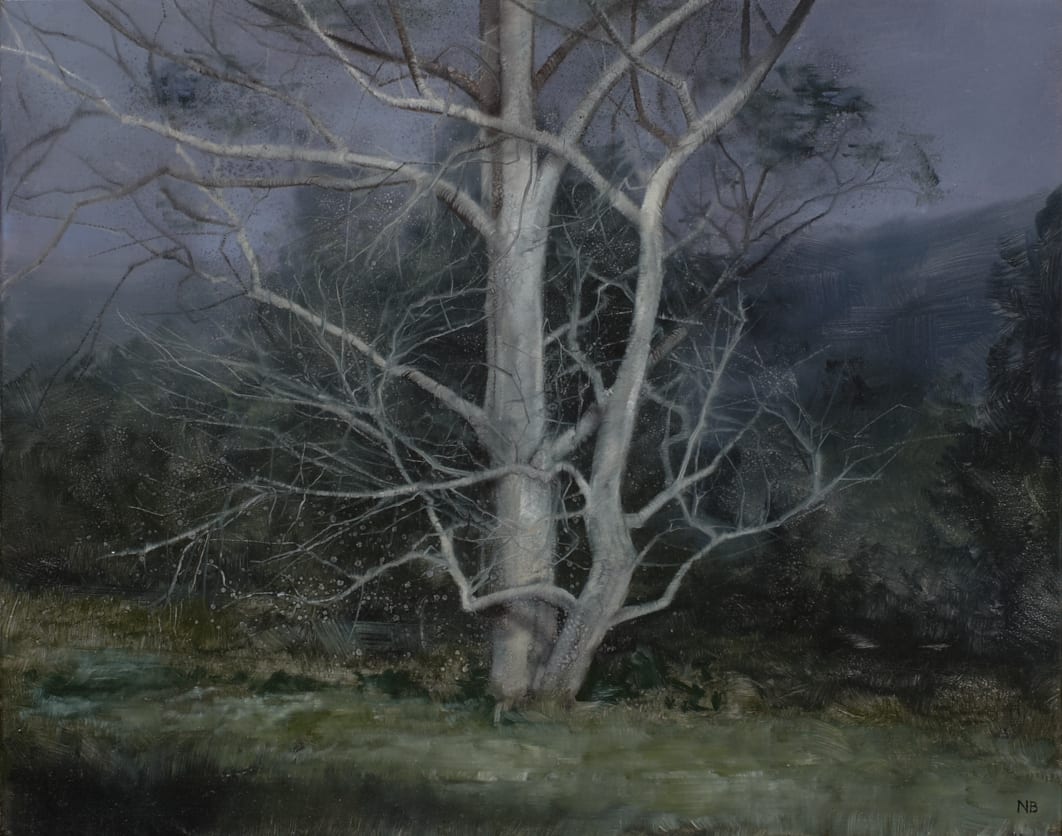 Nicholas Blowers, Tree. Storm. Sun, 2013