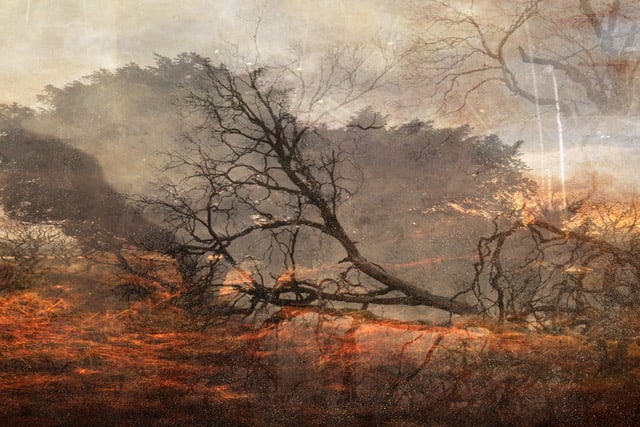 Troy Ruffels, At the edge of things, 2017