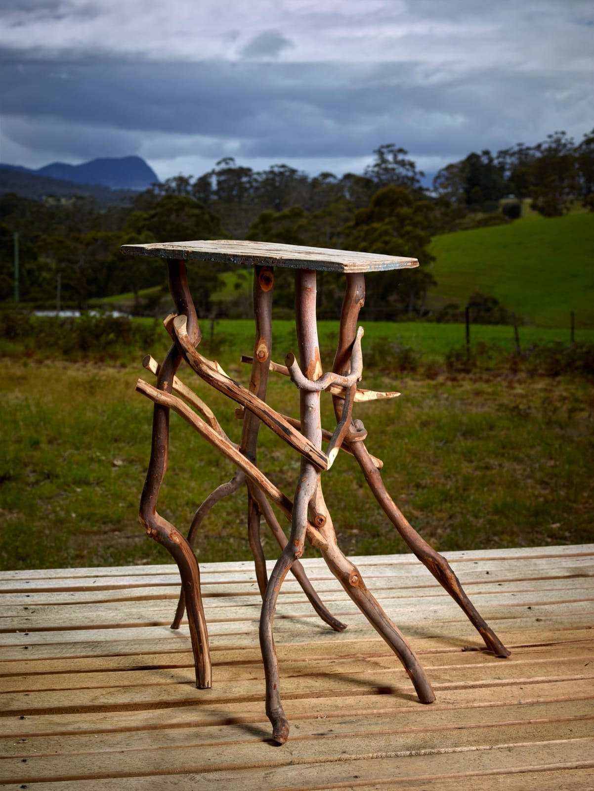 Gay Hawkes, What-not I, 2013