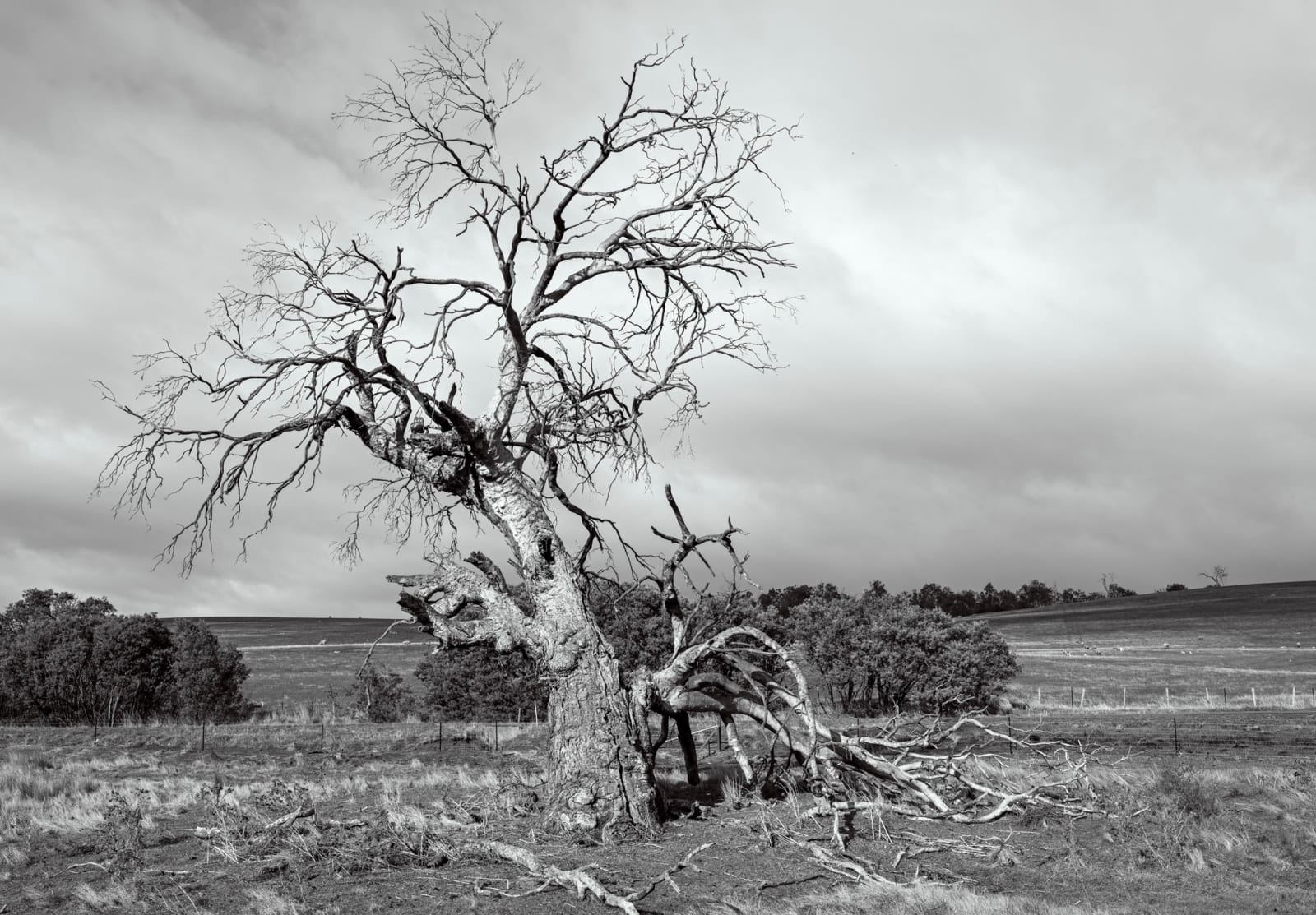 David Stephenson, Lyell Hwy near Gretna 1, 2023