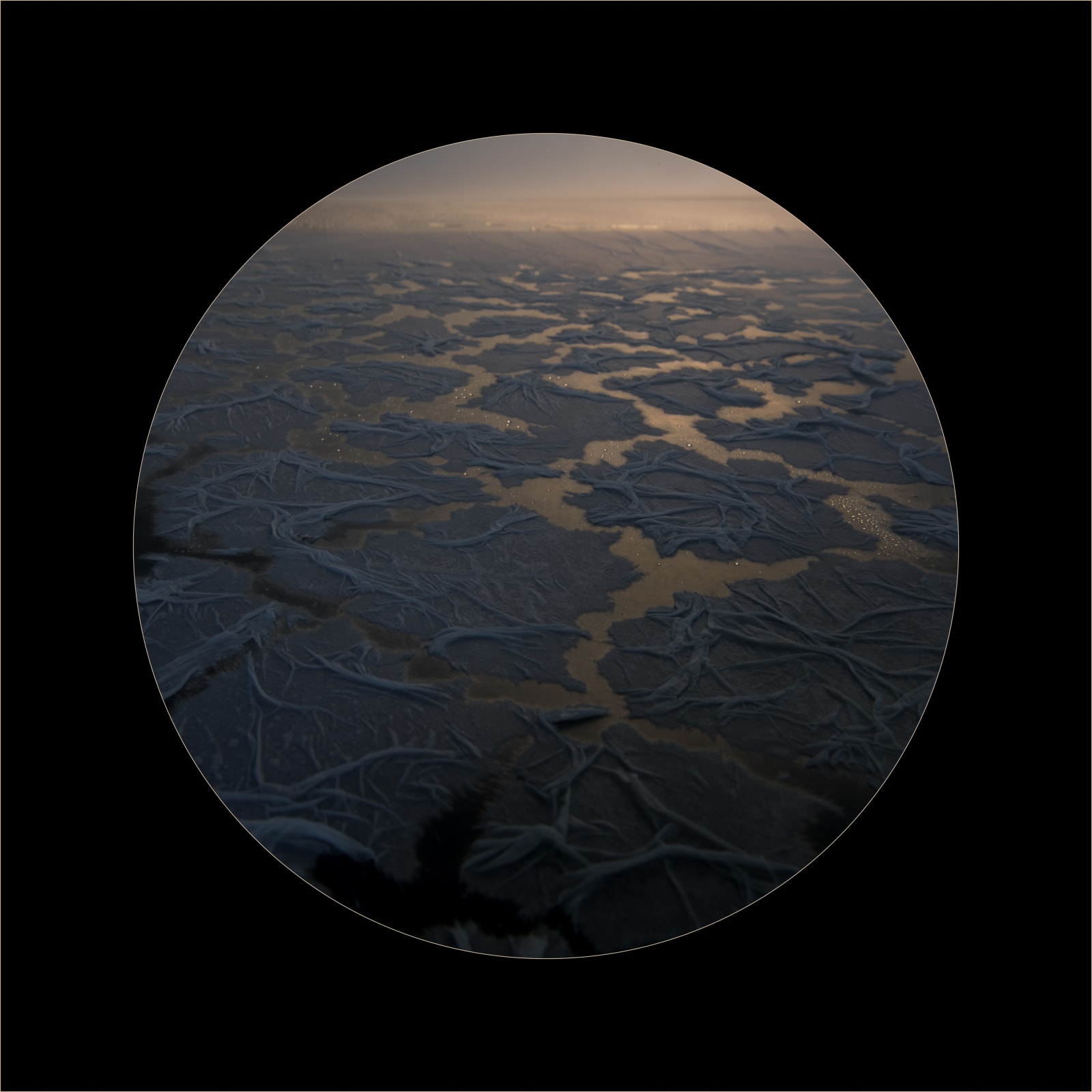 Rosie Hastie, Chill to the Marrow, 2018