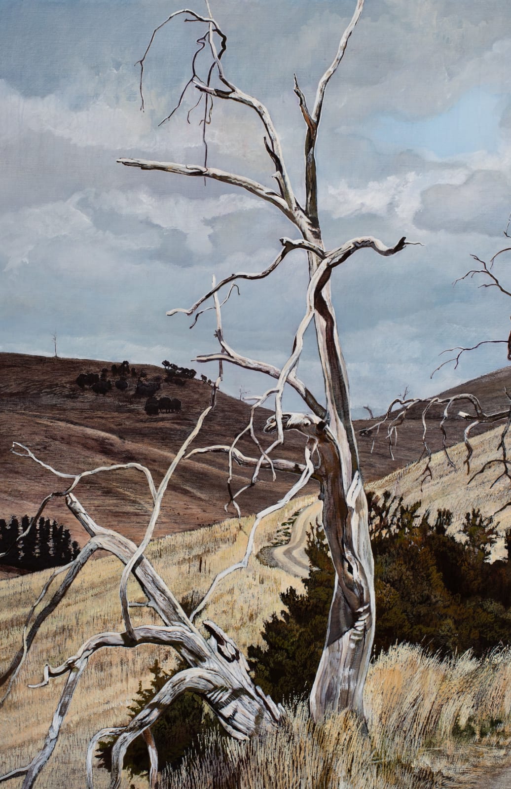 Stephanie Tabram, The Road, 2022