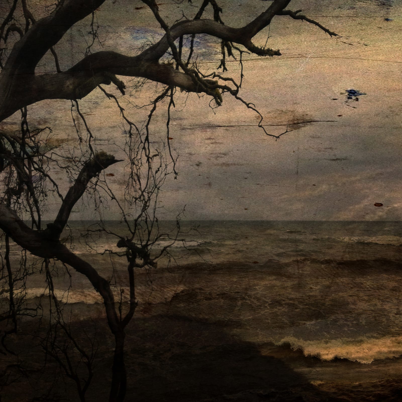 Troy Ruffels, Second Winter, 2014