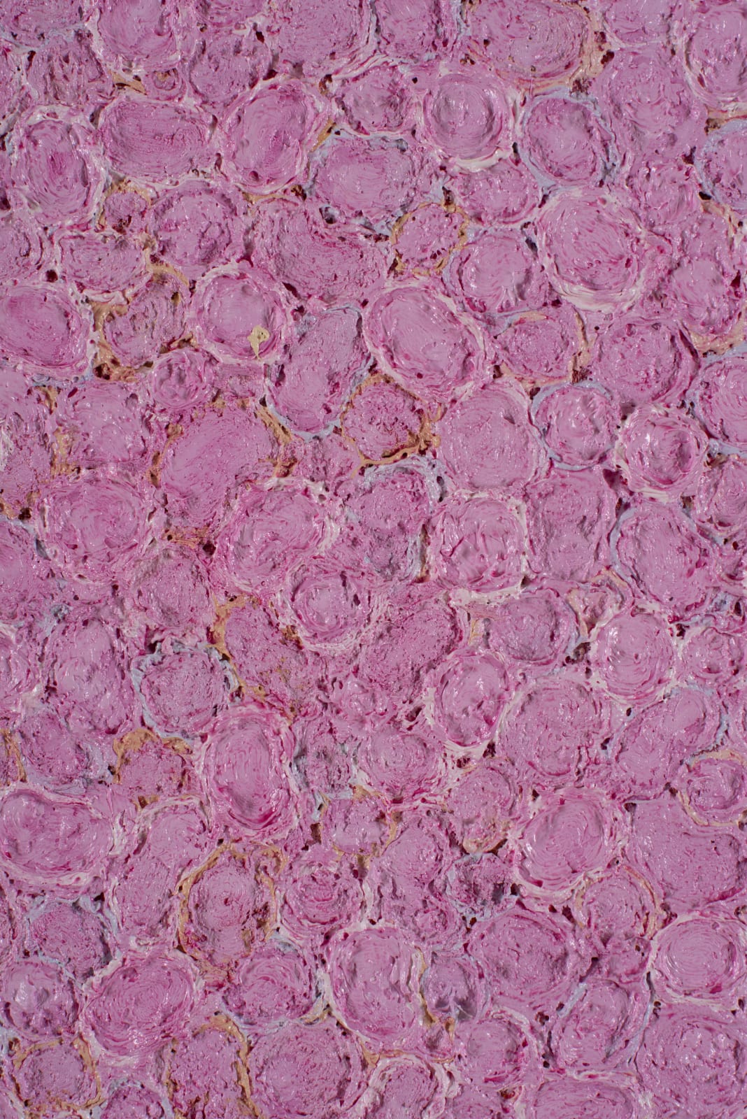 Richard Wastell, My happiness. Pink algae painting, 2024