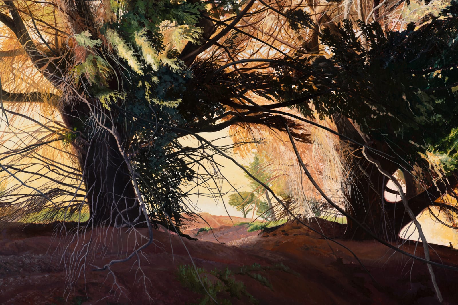 David Keeling, The bay 5pm, Autumn light, 2020