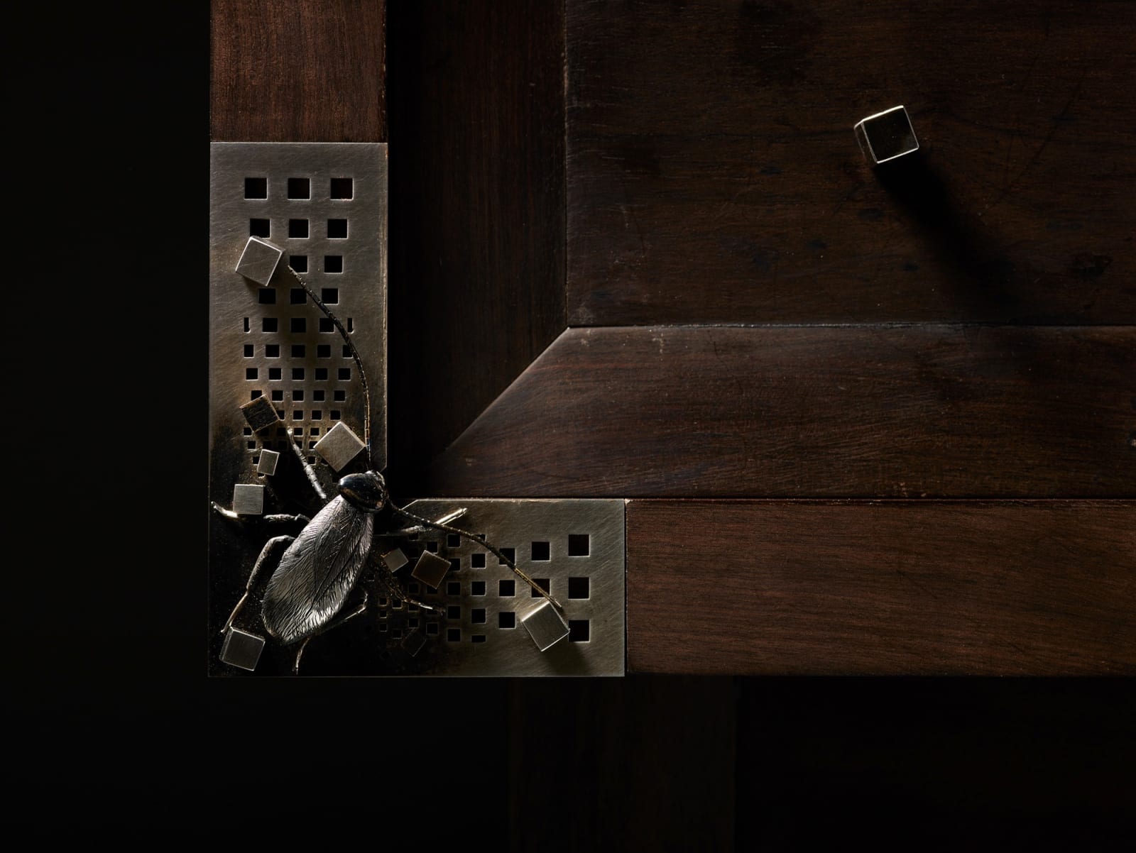 Ingo Kleinert, The Anthropocene Cabinet , Made in collaboration with Robin Blau, 2020