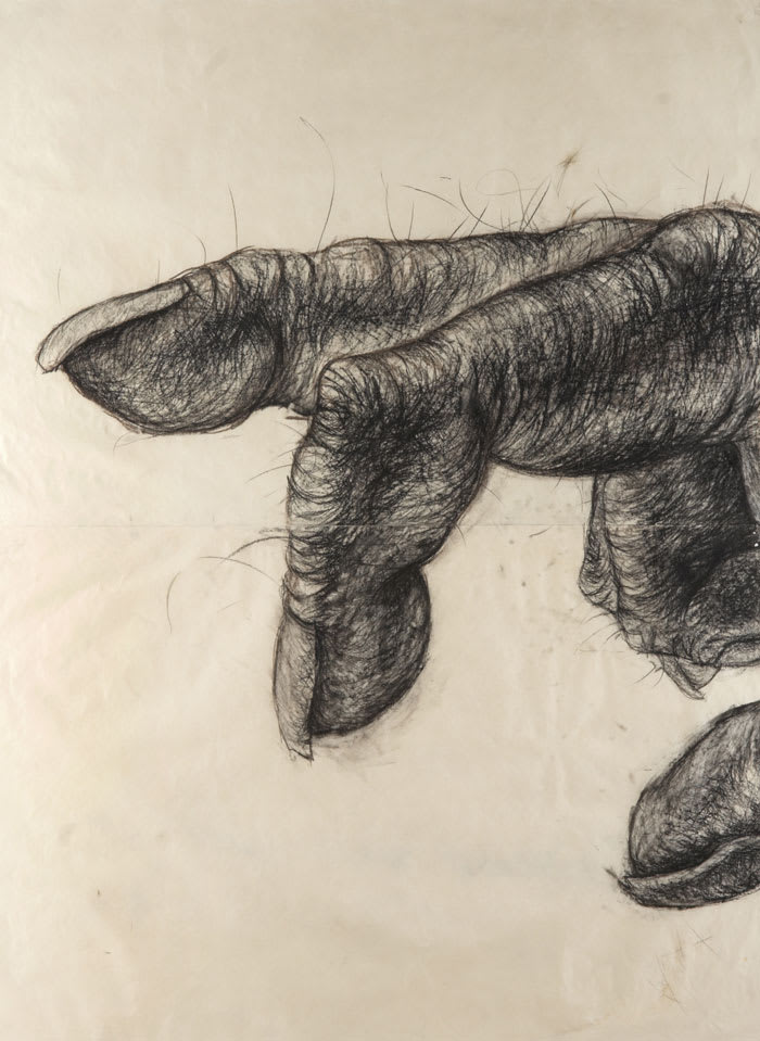 Lisa Roet, Untitled, 2003