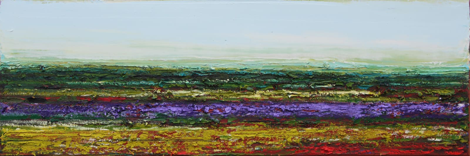 Patrick Grieve, Wild Spring Field, 2013