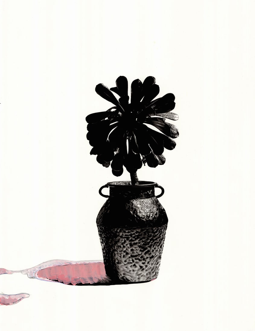 Matt Coyle, Scion, 2014