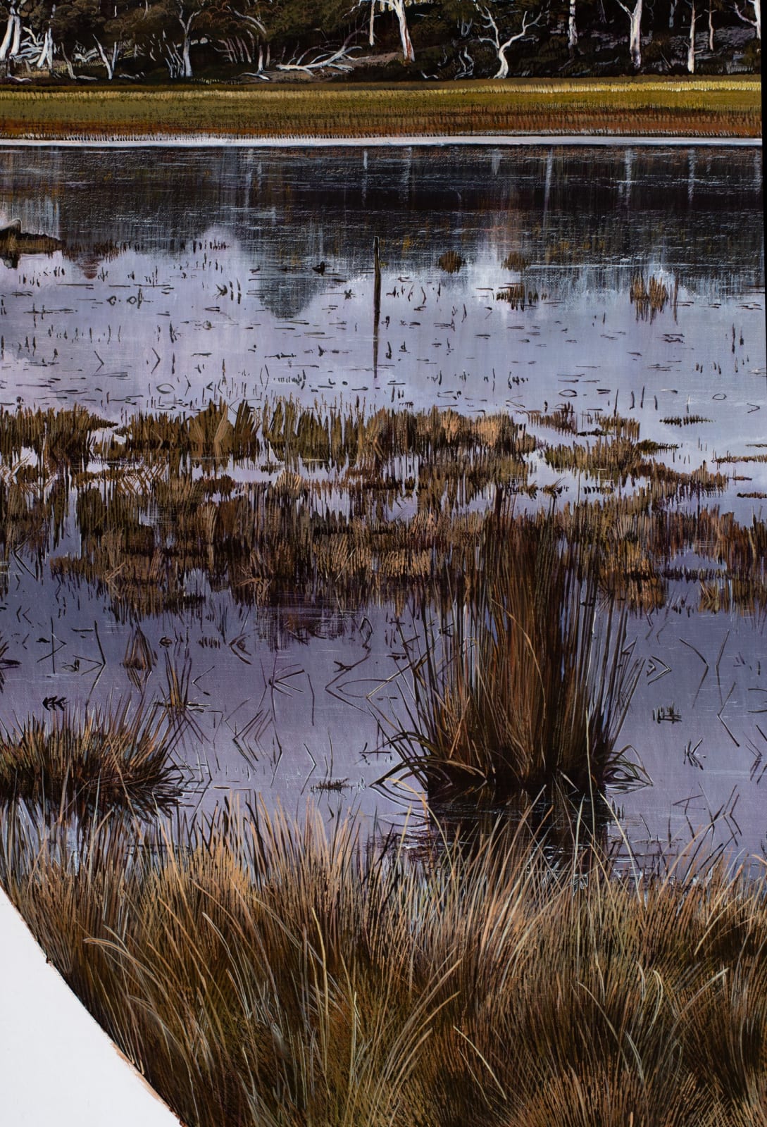 Stephanie Tabram, Shifting Light, 2023