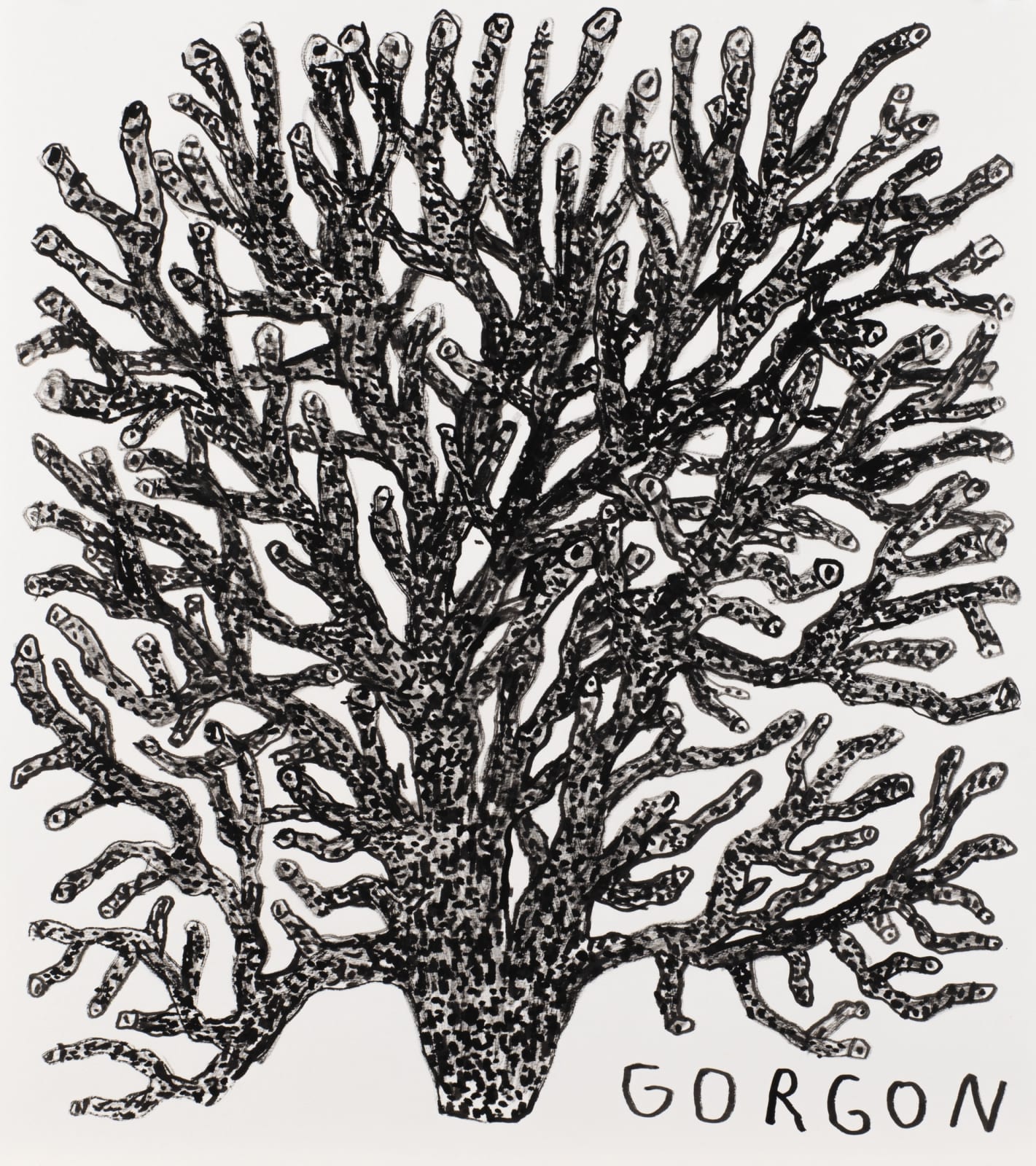 Tom O'Hern, Gorgon, 2022