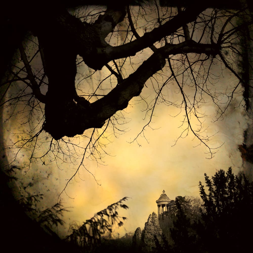 Jane Burton, Ivy 07, 2009