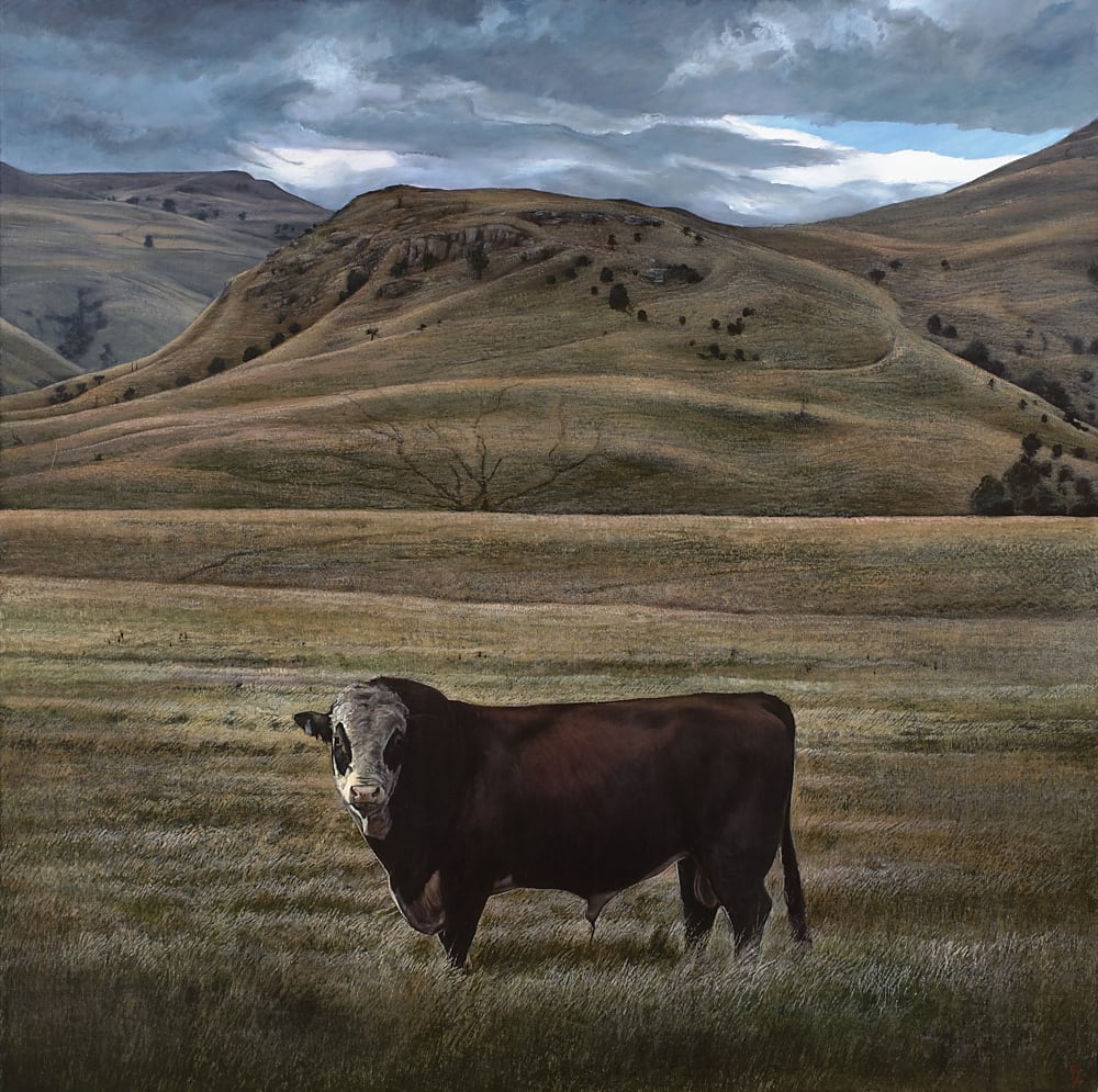 Stephanie Tabram, Below Tor Hill, 2014