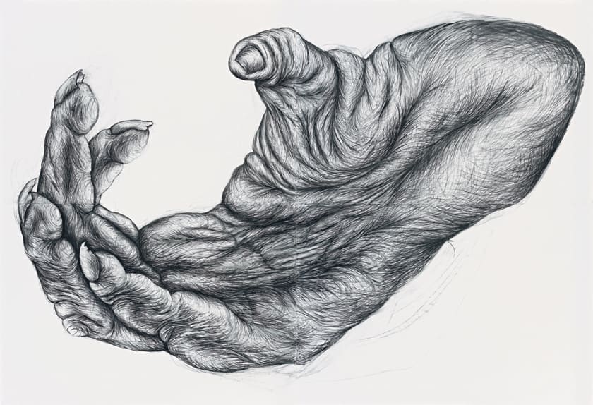 Lisa Roet, Primate Foot 3, 2009