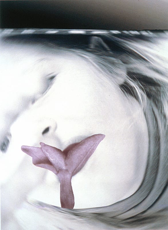 Pat Brassington, Lisp, 1997