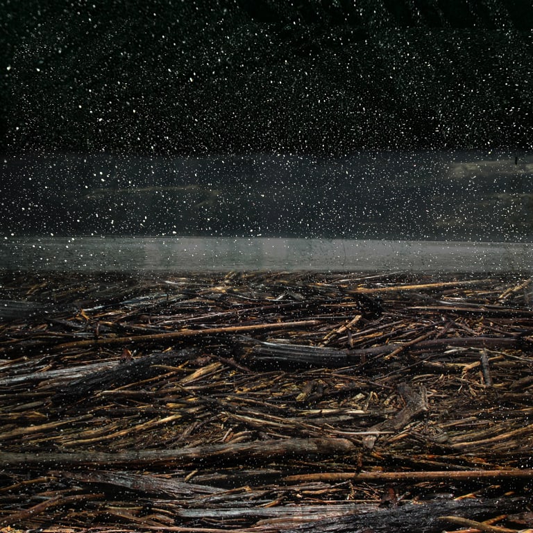 Troy Ruffels, Flood#3, 2011
