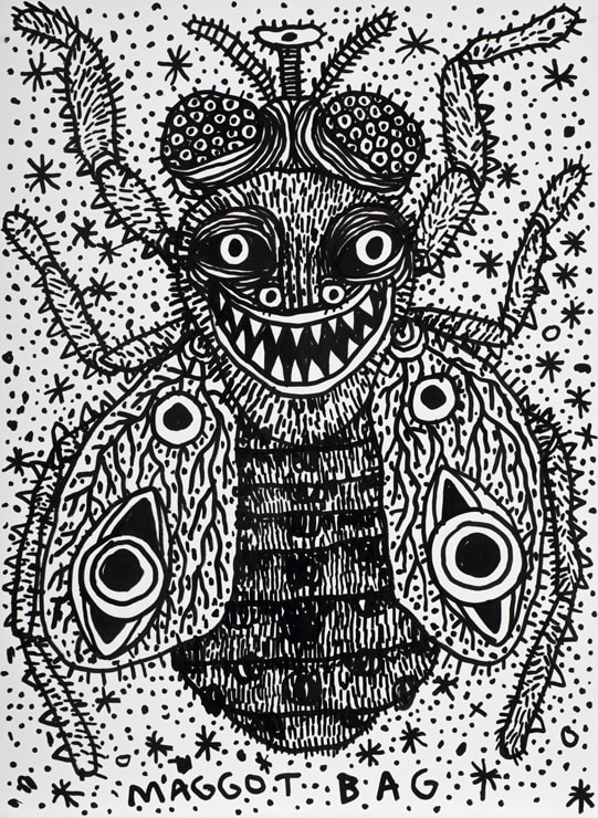 Tom OʼHern, Maggot Bag, 2017.0