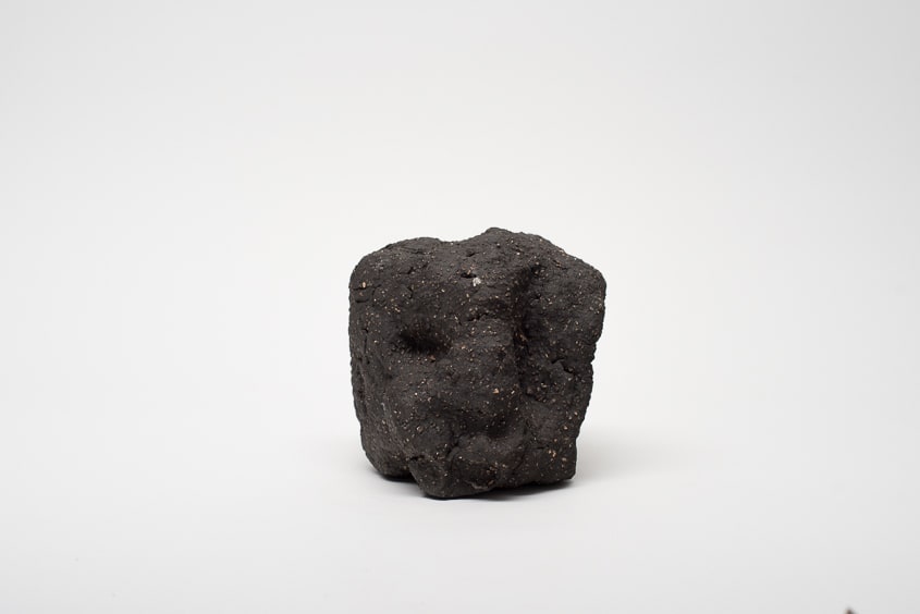 Locust Jones, Self Report 8, 2016