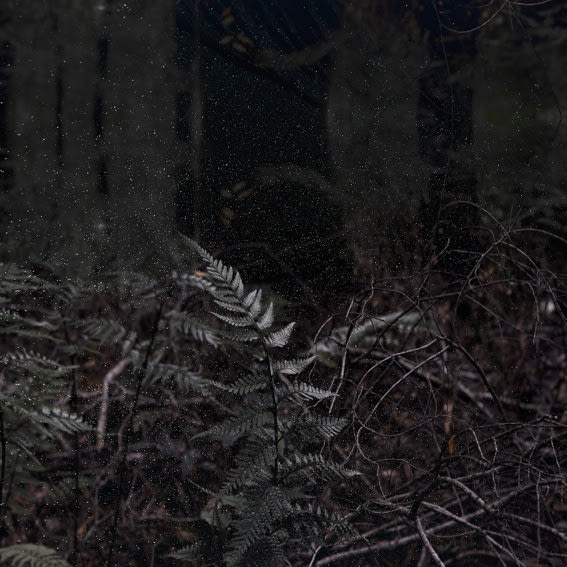 Troy Ruffels, Lost Song, 2013