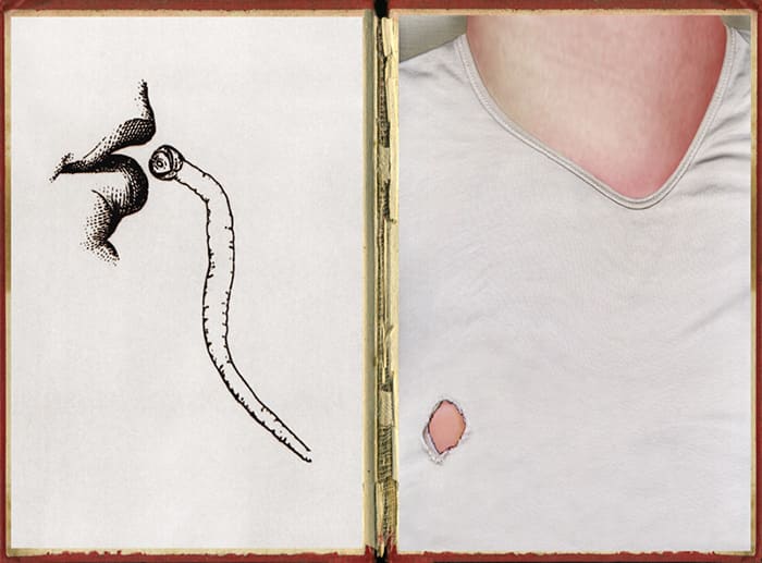 Pat Brassington, The Pressings #10, 2011